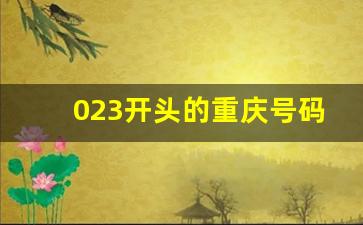 023开头的重庆号码是干嘛的_023开头的是哪家的催收