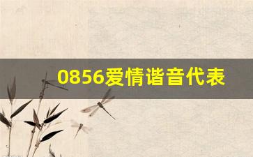 0856爱情谐音代表什么_男人发0840数字给女人怎么回复