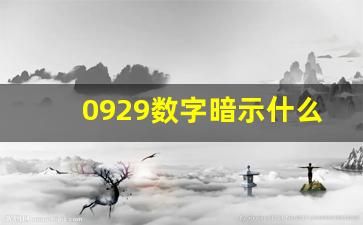 0929数字暗示什么意思_0909数字暗语