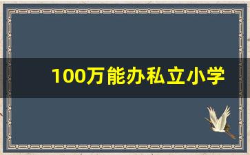 100万能办私立小学吗