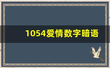 1054爱情数字暗语