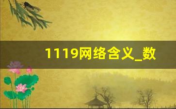 1119网络含义_数字1119什么寓意