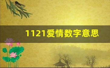 1121爱情数字意思_数字936的爱情谐音