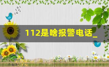 112是啥报警电话_打112有什么后果