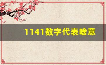 1141数字代表啥意思