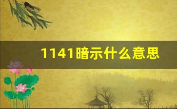 1141暗示什么意思_1141爱情暗示