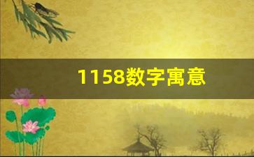 1158数字寓意