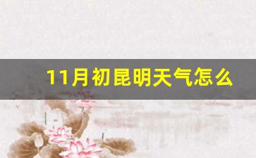 11月初昆明天气怎么样_昆明天气穿衣建议十一月