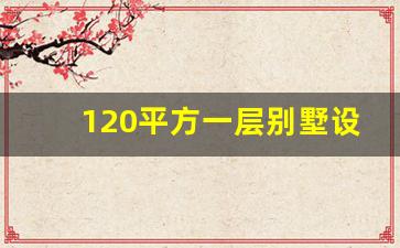 120平方一层别墅设计图