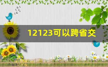 12123可以跨省交罚款吗