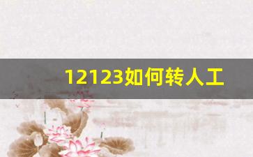 12123如何转人工_交管12123客服电话怎么用