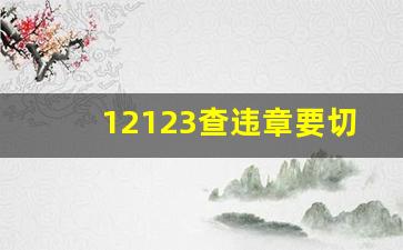 12123查违章要切换城市吗_怎么查当天有没有违章