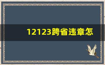 12123跨省违章怎么处理_12123可以跨省交罚款吗