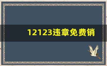 12123违章免费销掉1次