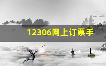 12306网上订票手机版