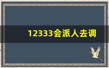 12333会派人去调查吗_打12333会暴露自己的信息吗