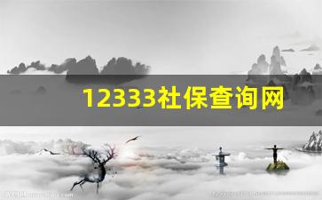 12333社保查询网官网