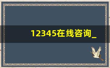 12345在线咨询_比12345还厉害的电话