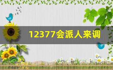 12377会派人来调查吗