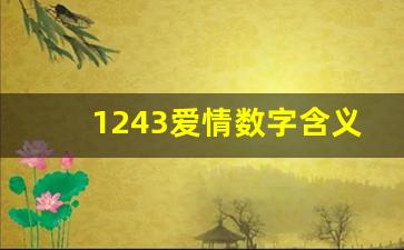 1243爱情数字含义