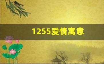 1255爱情寓意