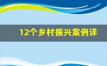 12个乡村振兴案例详解