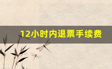 12小时内退票手续费是多少_高铁退票不足12小时