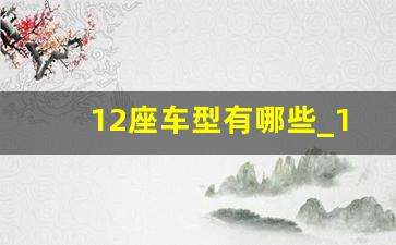 12座车型有哪些_19座中巴车a2可以开吗