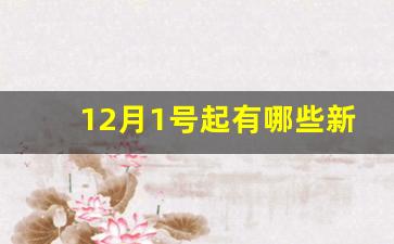 12月1号起有哪些新规定_11月起新规正式实施