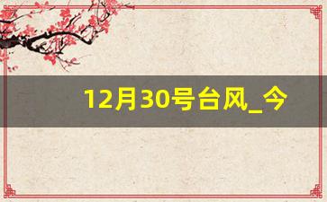 12月30号台风_今年第12号台风