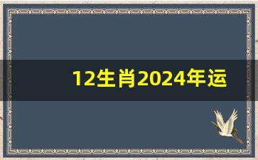 12生肖2024年运程大全及破解