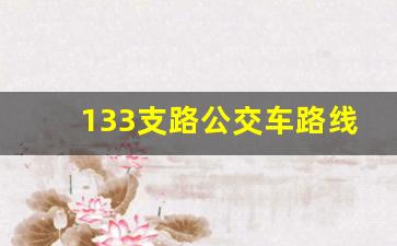 133支路公交车路线时间_133公交车站点明细