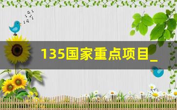 135国家重点项目_2019年国家重点研发计划项目