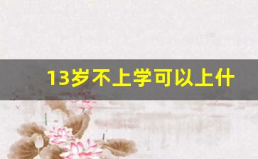 13岁不上学可以上什么技校_十三岁可以上技校吗