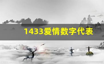 1433爱情数字代表什么意思