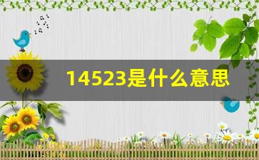 14523是什么意思