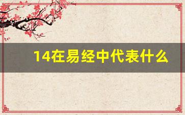 14在易经中代表什么_道家14代表什么意思