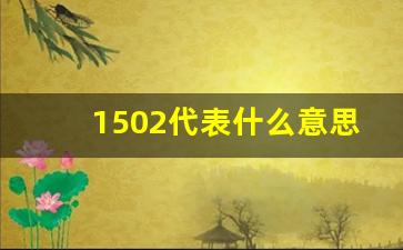 1502代表什么意思