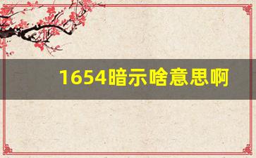 1654暗示啥意思啊