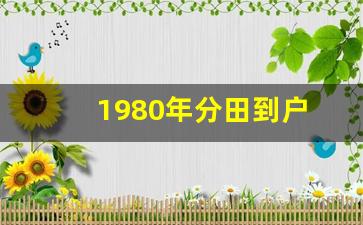 1980年分田到户