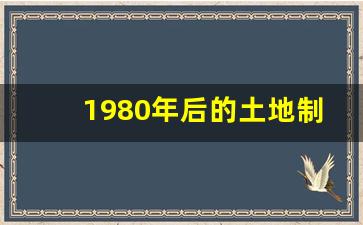 1980年后的土地制度