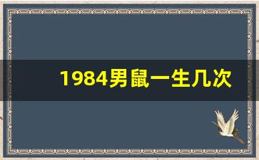 1984男鼠一生几次婚姻_1984年的鼠一生有几次婚姻