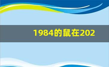 1984的鼠在2023运气怎么样_2024年属鼠大爆发