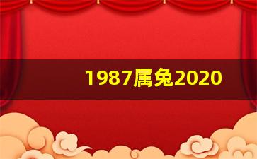 1987属兔2020年刑太岁