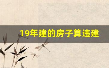 19年建的房子算违建吗