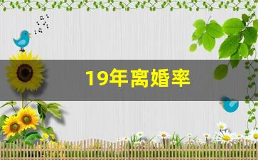 19年离婚率