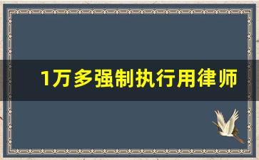 1万多强制执行用律师吗