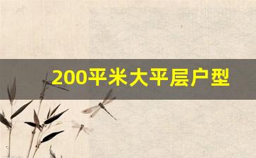 200平米大平层户型图装修_200平米最佳户型图