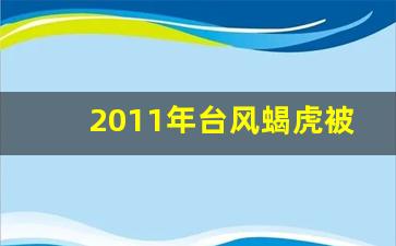 2011年台风蝎虎被吞掉的视频_仅活了6小时的台风蝎虎马鞍