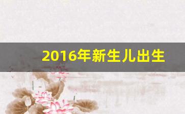 2016年新生儿出生人口数量_哪年出生孩子竞争最激烈